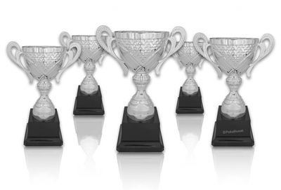 Pokal 306X