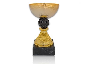 Pokal 11G