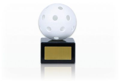 FG704 Innebandy