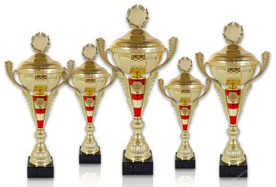 Pokal 508