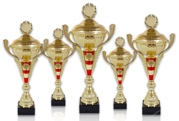 Pokal 508