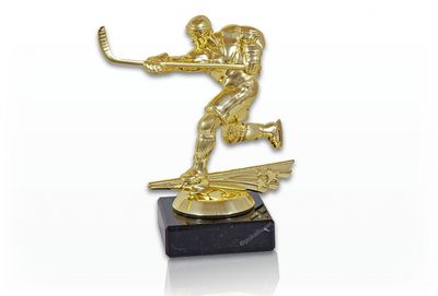 Hockeystatyett FG644