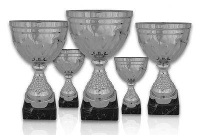Pokal 319X