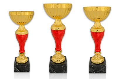 Pokal 215