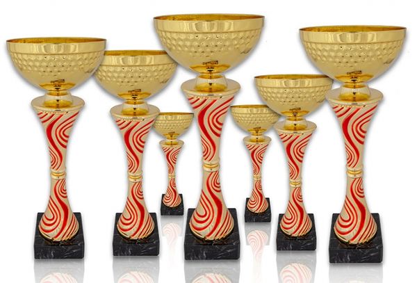 Pokal 71X