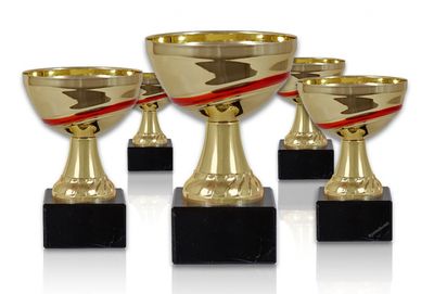 Pokal 210