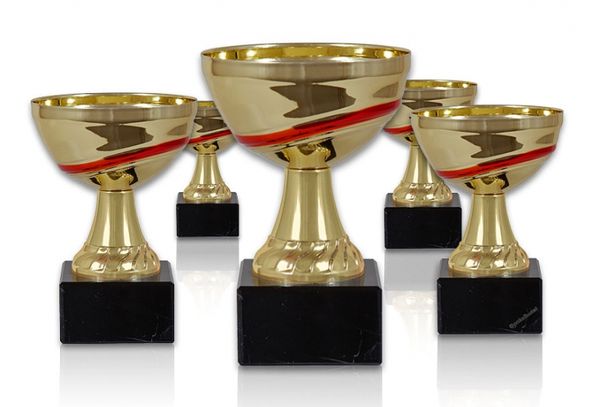 Pokal 210