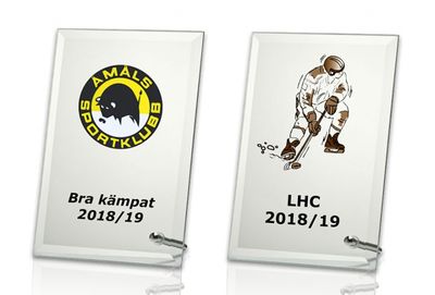 Hockeyplakett