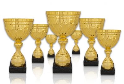 Pokal 302X