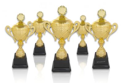 Pokal 305