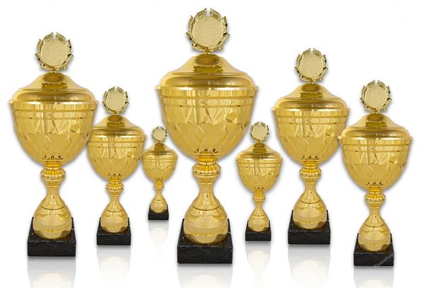 Pokal 302