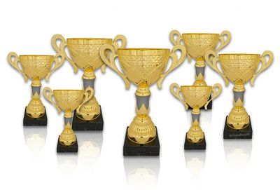 Pokal 304X