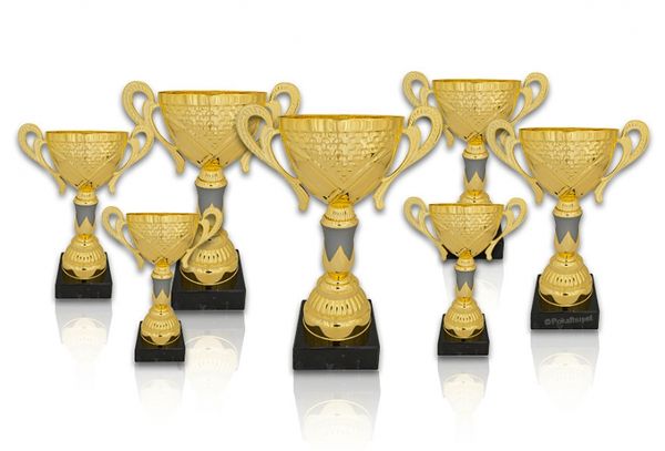 Pokal 304X