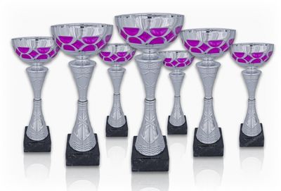 Pokal 314X
