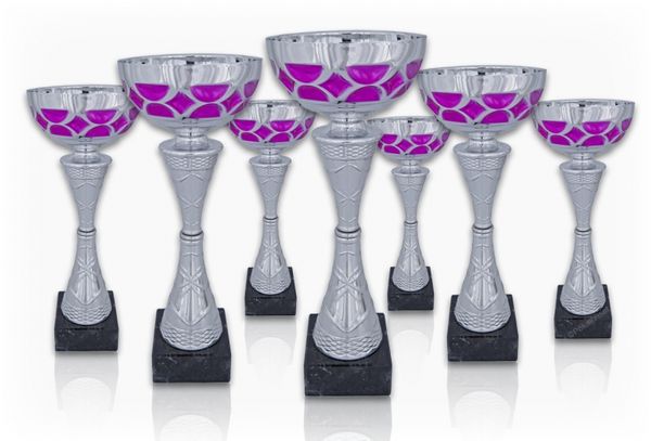 Pokal 314X