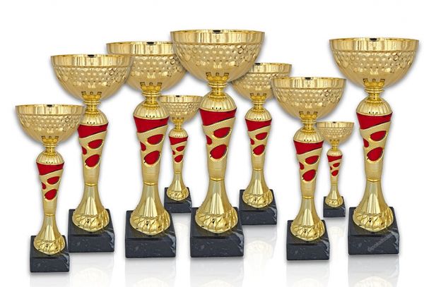 Pokal 310X