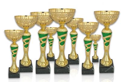 Pokal 311X