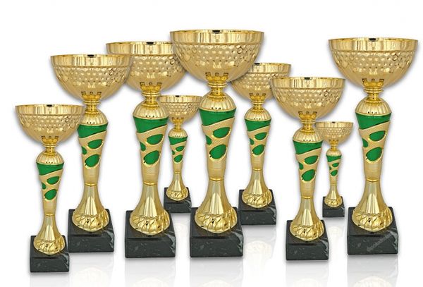 Pokal 311X