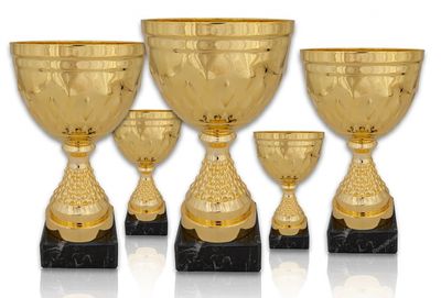 Pokal 318X