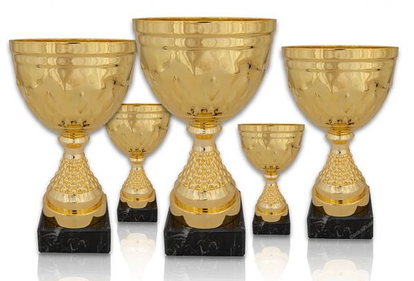 Pokal 318X