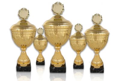 Pokal 318
