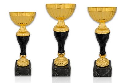 Pokal 217