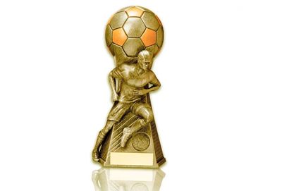 2036 Fotboll Herr