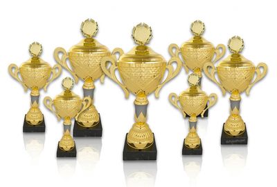 Pokal 304