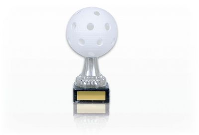 FG706 Innebandy