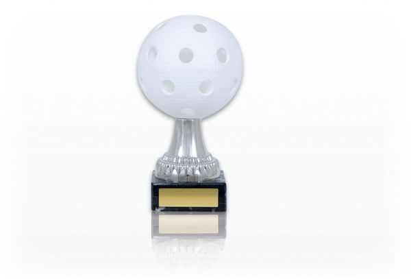 FG706 Innebandy