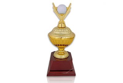 Golfpokal 380 Hole in one