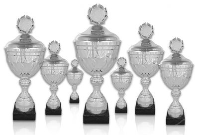 Pokal 303