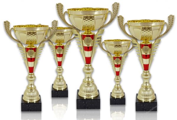 Pokal 508X