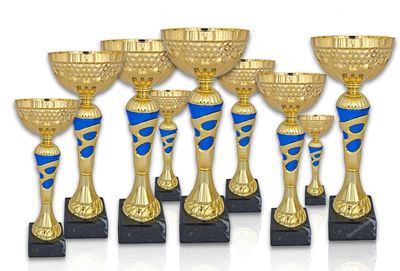 Pokal 312X