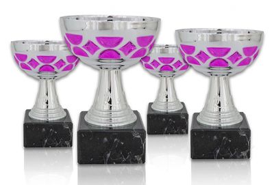 Pokal 313