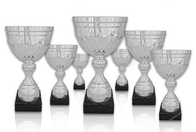 Pokal 303X