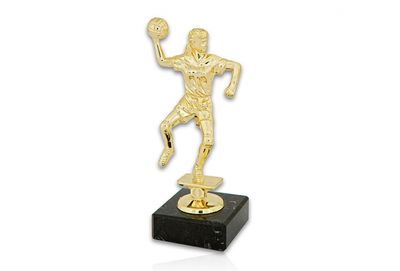 FG100 Handboll dam