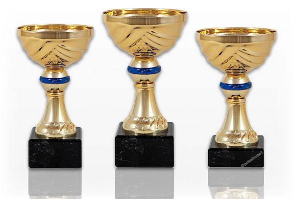 Pokal 172