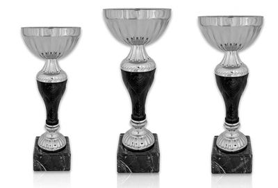 Pokal 220