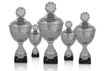 Pokal 319