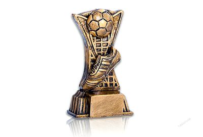Fotbollspriser 24901