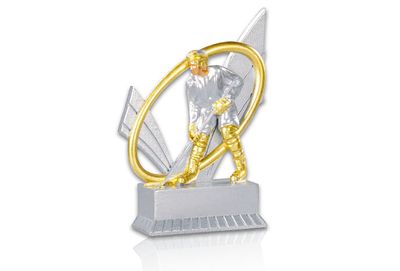 Ishockeypriser FG 31417