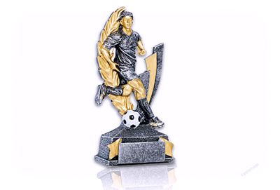 Fotbollspriser 25905