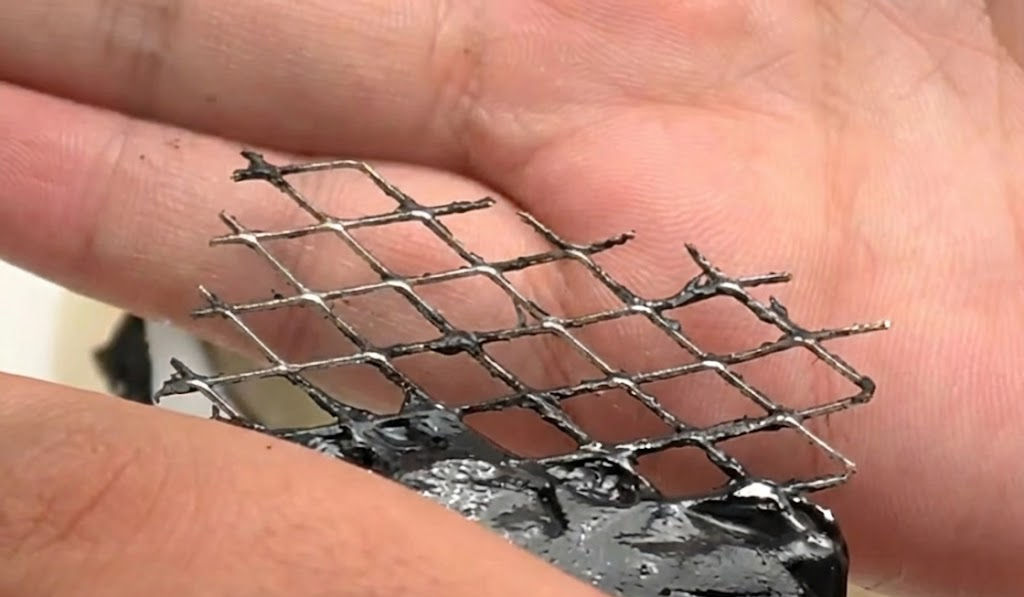 mustejp, gnagarskydd