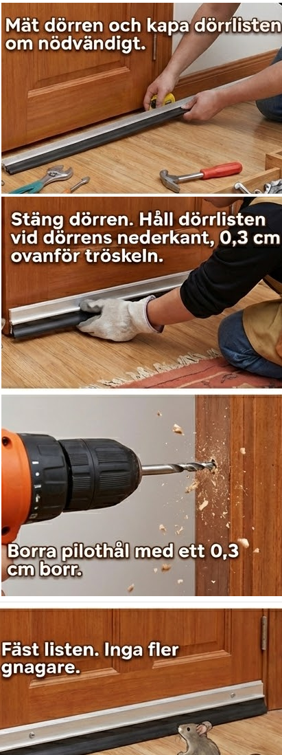 D&ouml;rrlist gnagarskydd