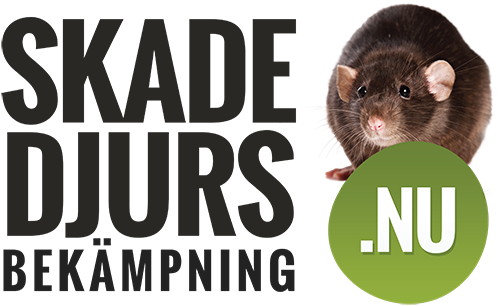 Skadedjursbekämpning