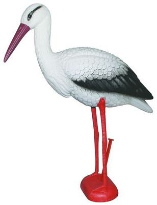 Stork