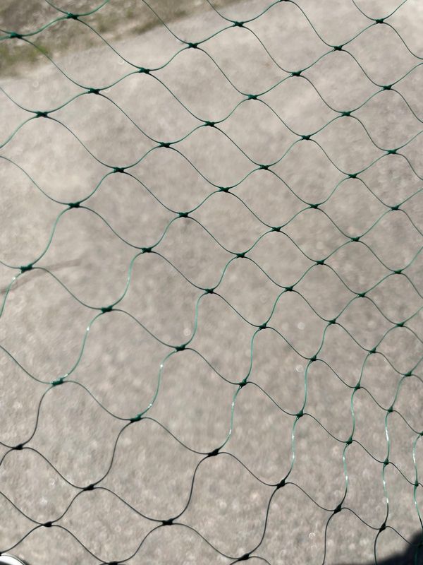 Produktbild för Fågelnät 2 x 5 m