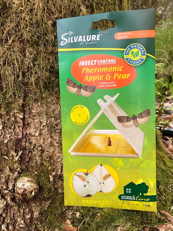 Produktbild för Äppelvecklare