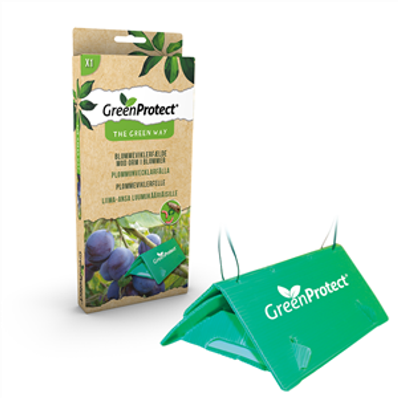 Plommevikler - beskytt plommene dine